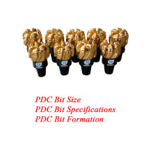 PDC Bit Size Specifications Formation